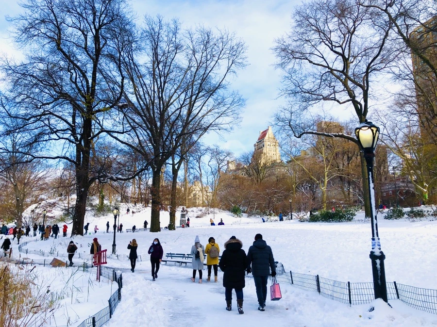 IMG_7010.jpg?type=w966