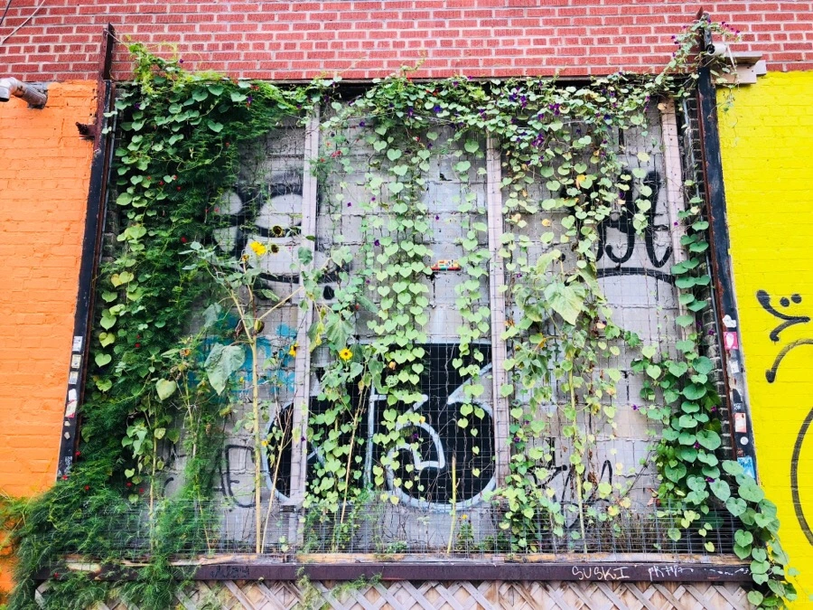 IMG_6355.jpg?type=w966