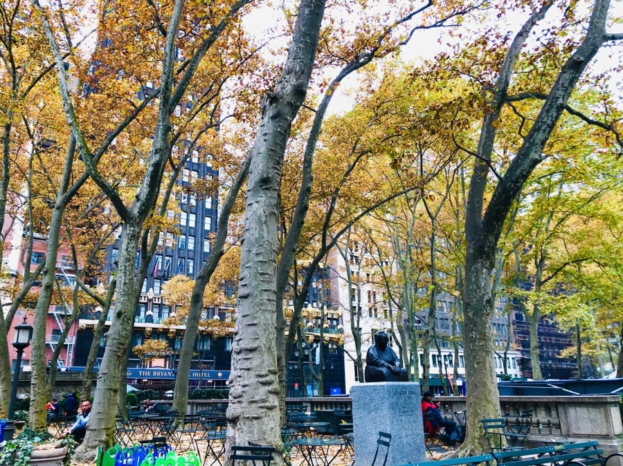 IMG_4404.jpg?type=w966