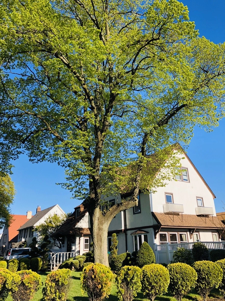 3QCt9KtBBr5Jn7HhxdPFDh8ehJk