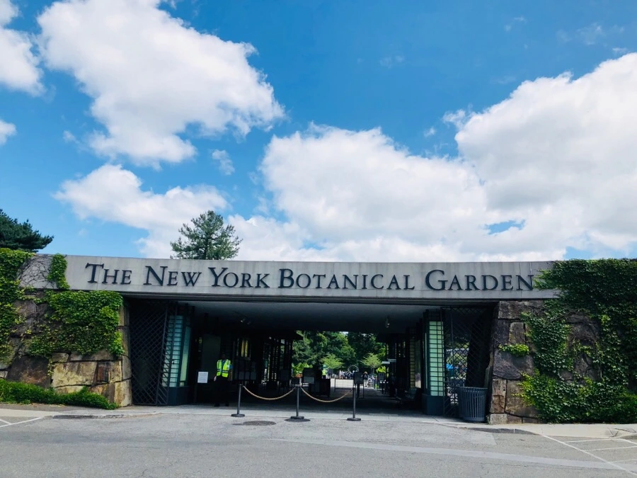 IMG_7142.jpg?type=w966