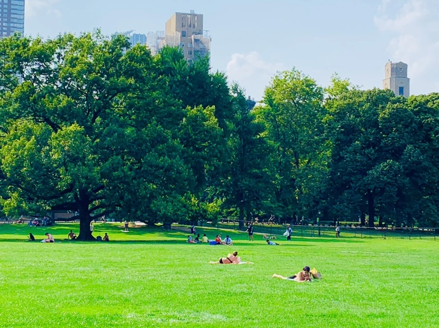 IMG_1689.jpg?type=w966