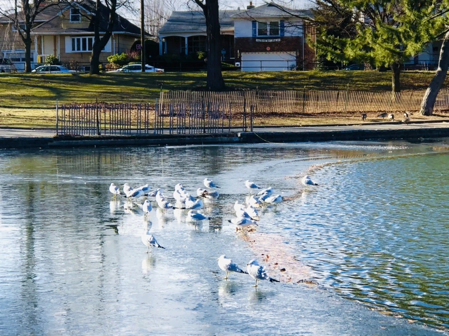 IMG_1202.jpg?type=w966