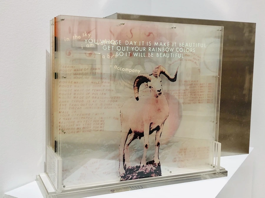 IMG_5628.jpg?type=w966