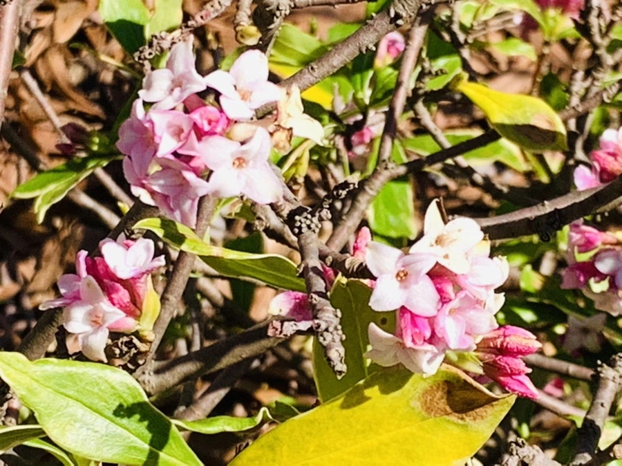 IMG_5778.jpg?type=w966