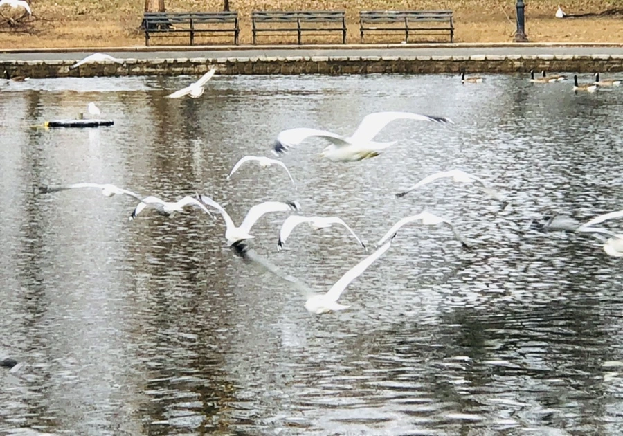 IMG_8638.jpg?type=w966