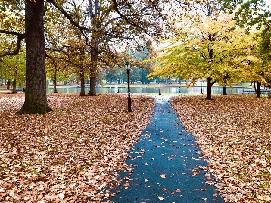 CDqN9kEW_ooobq0w_NQtghYHcMk