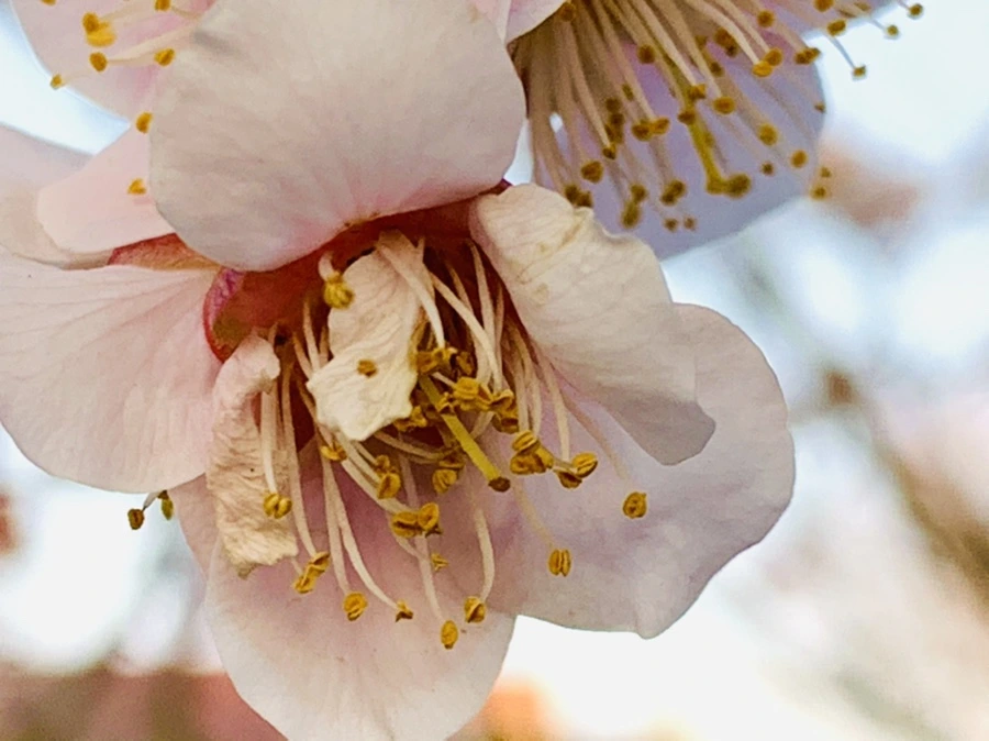 IMG_2771.jpg?type=w966