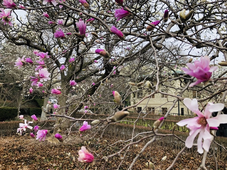 IMG_2389.jpg?type=w966