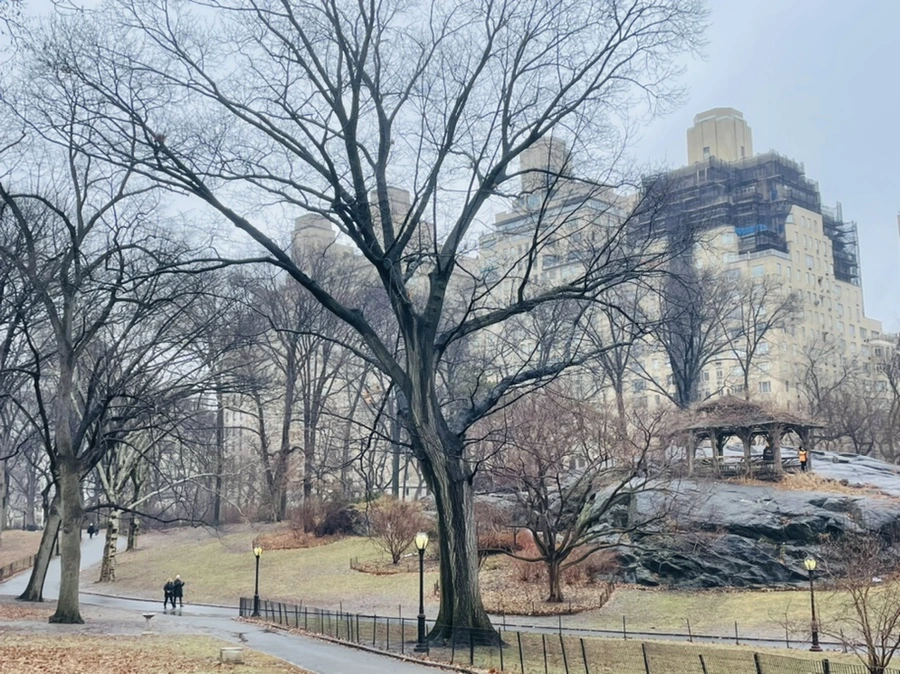 IMG_1587.jpg?type=w966