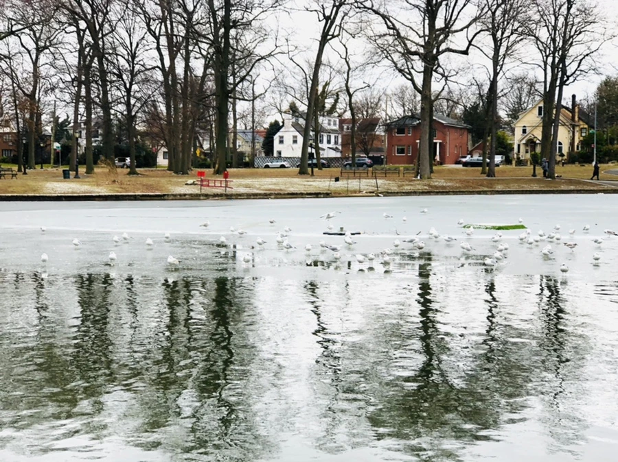 IMG_6406.jpg?type=w966