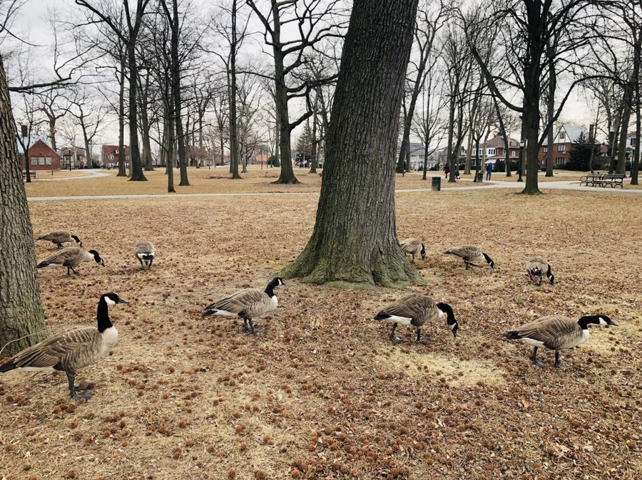 IMG_9371.jpg?type=w966