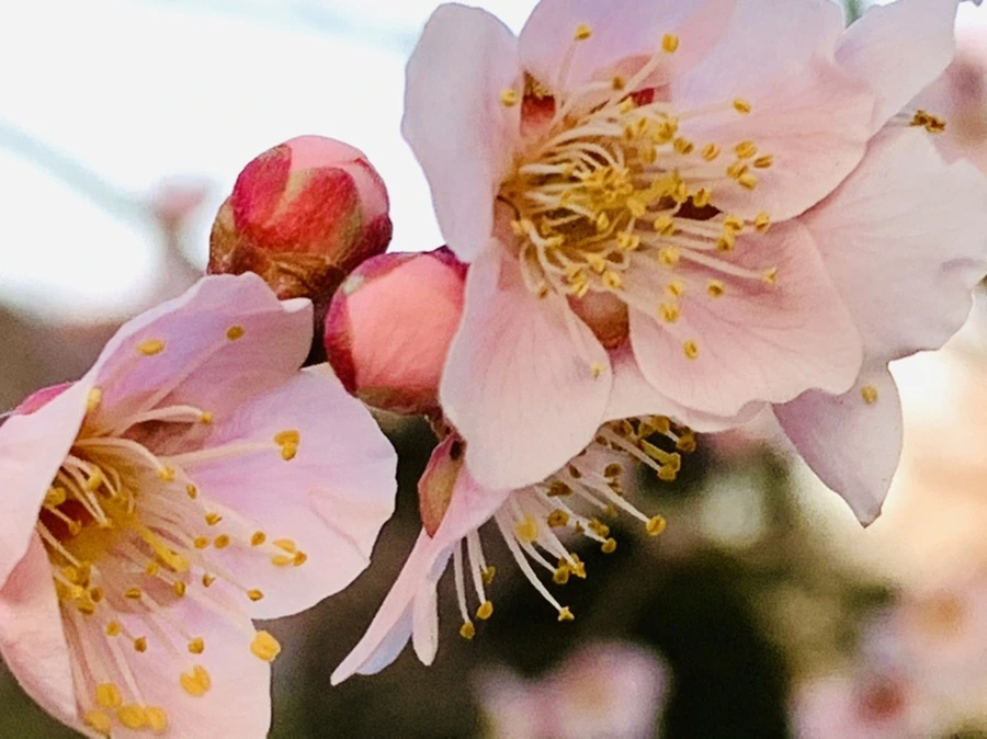 IMG_2794.jpg?type=w966