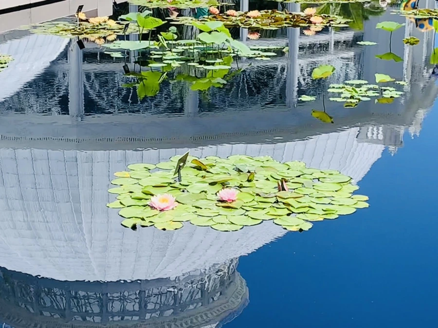 IMG_4641.jpg?type=w966