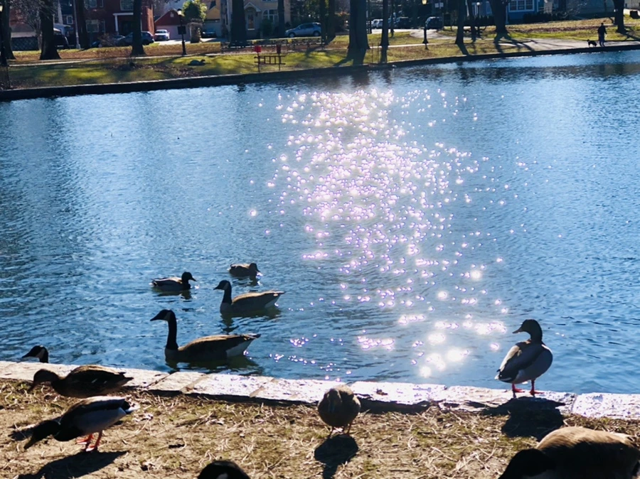 IMG_0234.jpg?type=w966