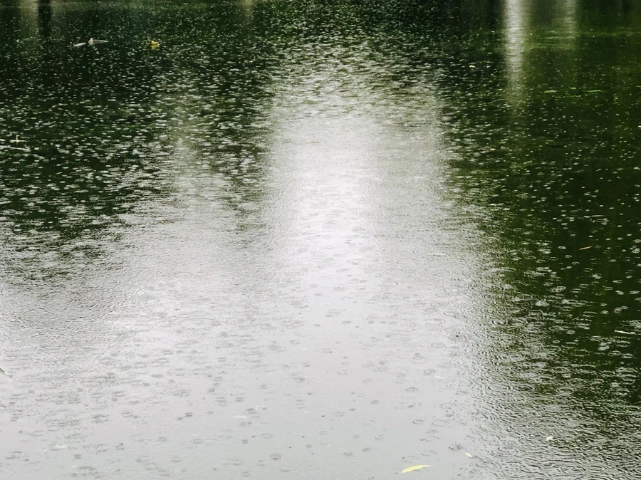 IMG_3254.jpg?type=w966