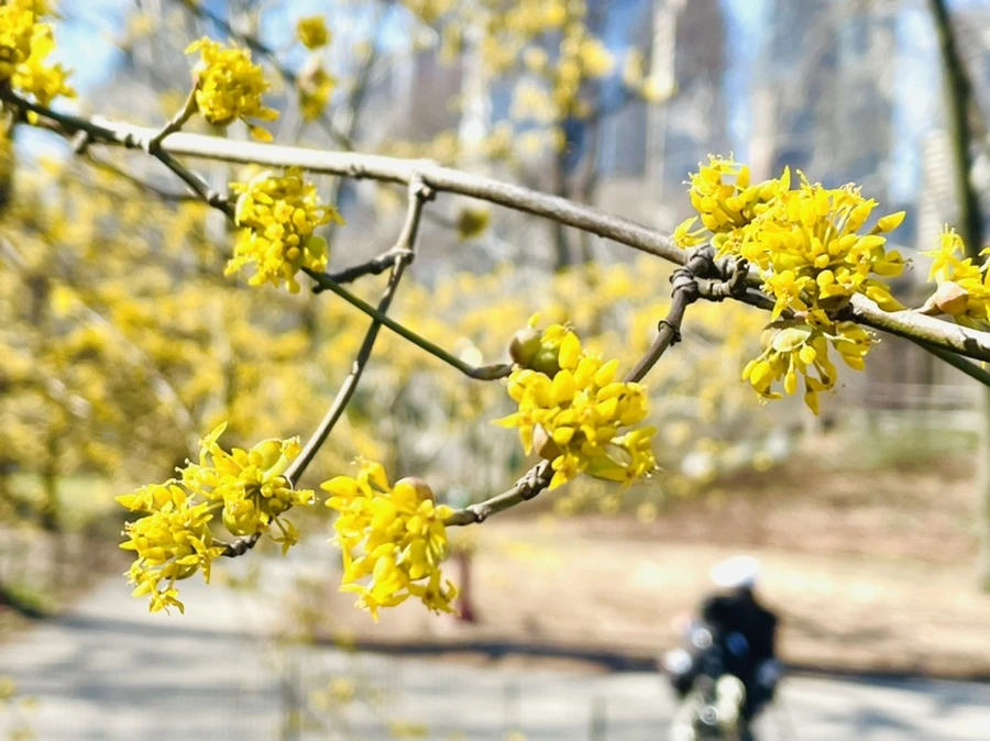 IMG_4940.jpg?type=w966