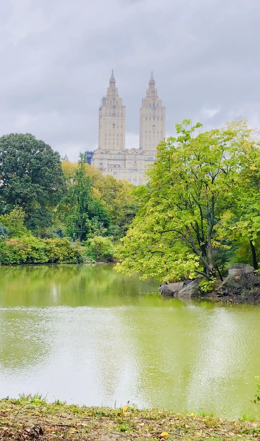 IMG_1214.jpg?type=w966