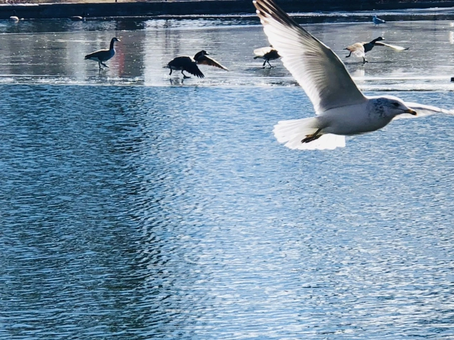 IMG_5340.jpg?type=w966