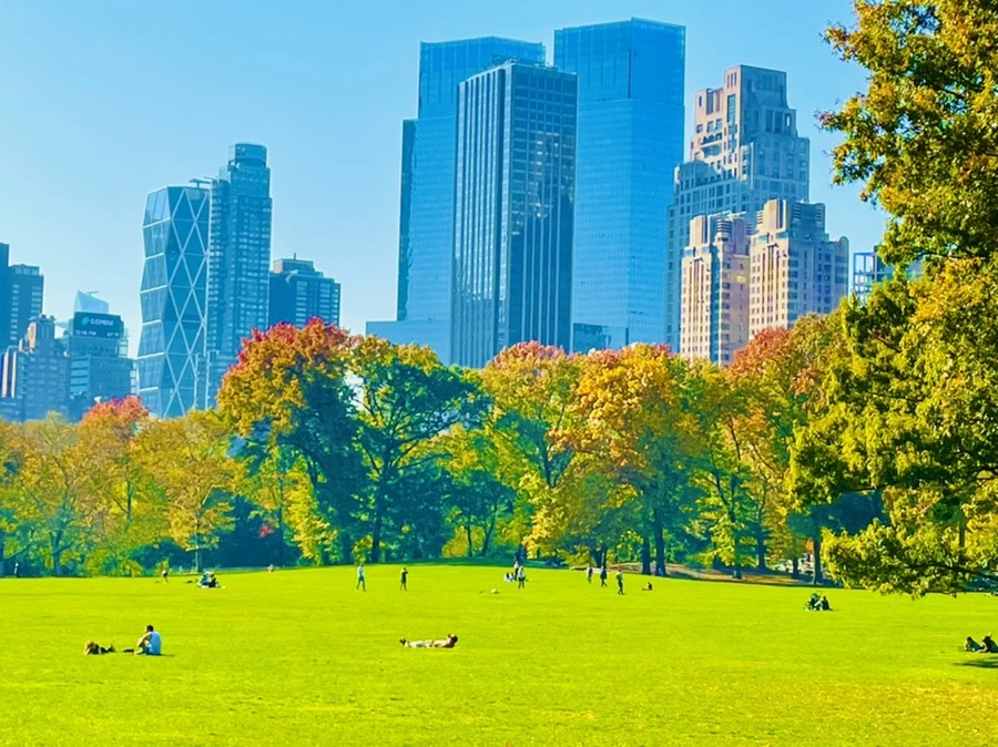 IMG_1684.jpg?type=w966