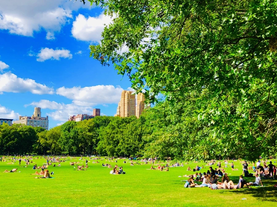 IMG_8864.jpg?type=w966