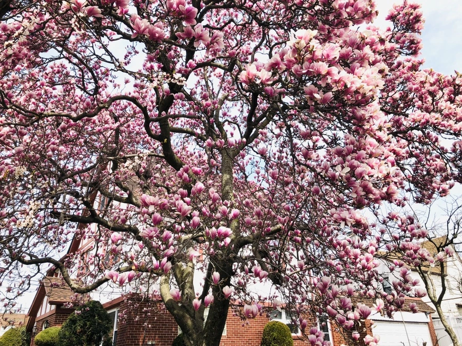 IMG_2821.jpg?type=w966