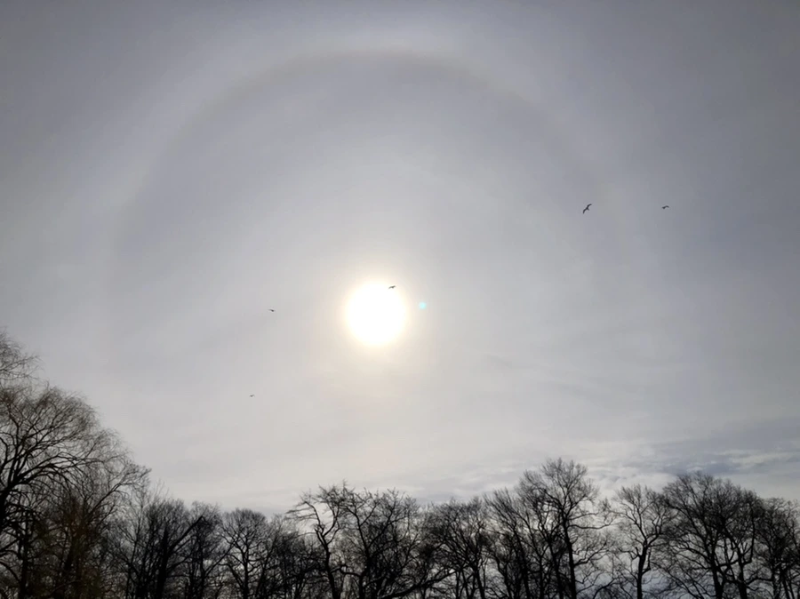 IMG_1678.jpg?type=w966