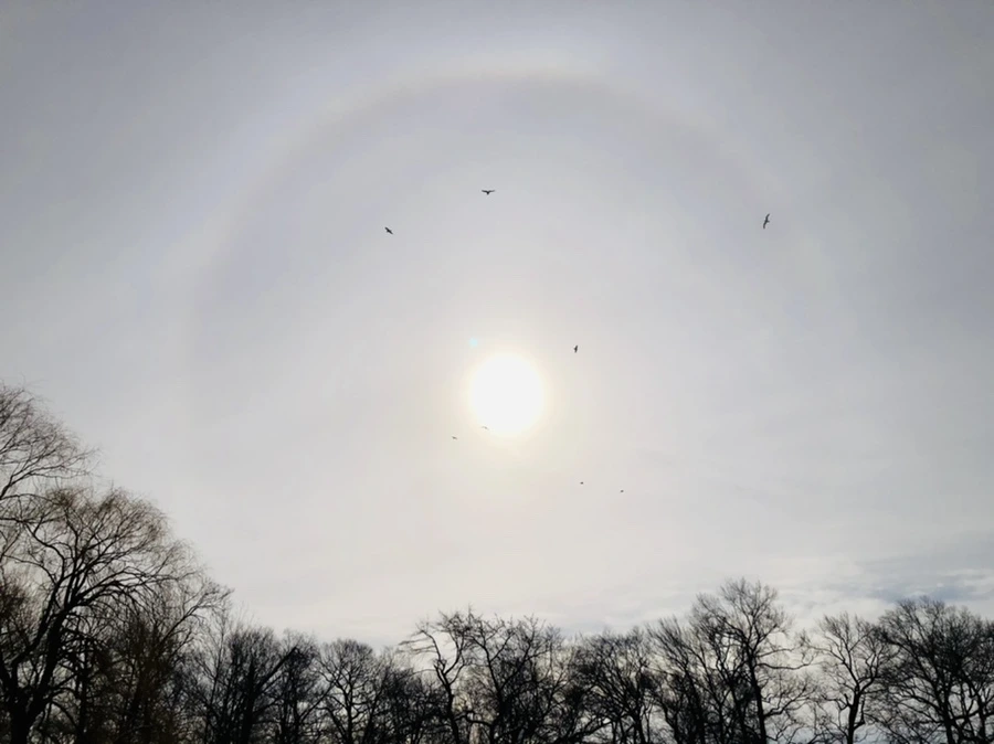 IMG_1680.jpg?type=w966