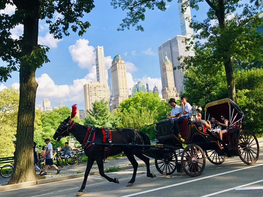 IMG_8274.jpg?type=w966