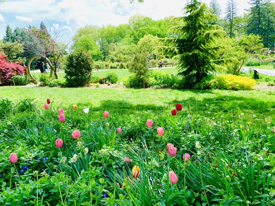 IMG_1400.jpg?type=w966