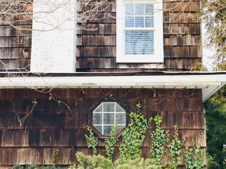 IMG_3029.jpg?type=w966