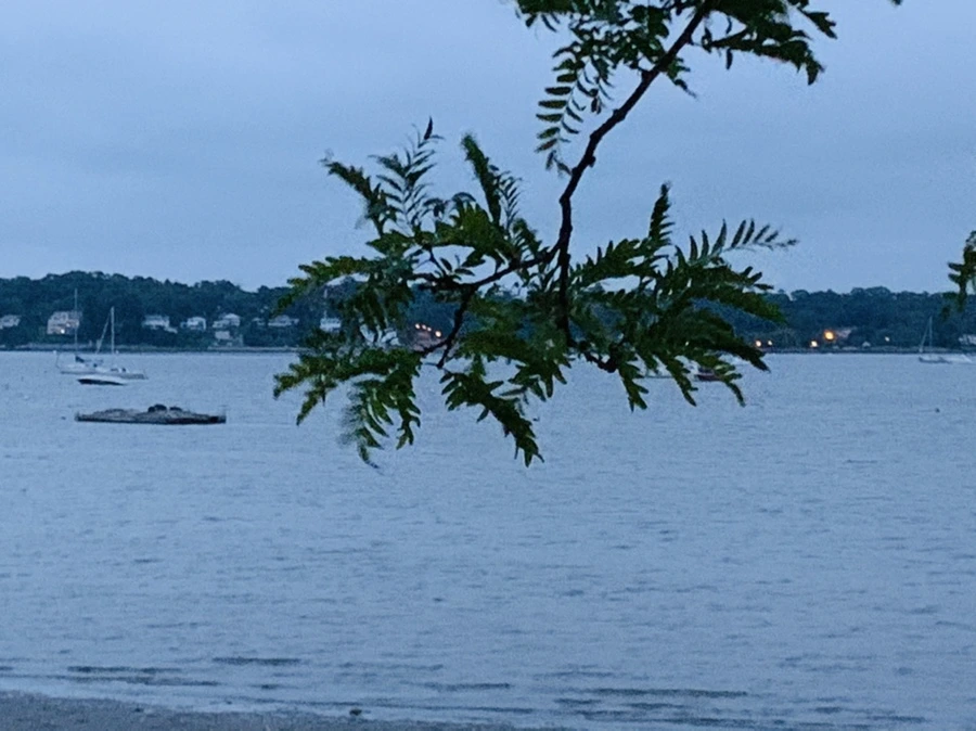 IMG_6694.jpg?type=w966