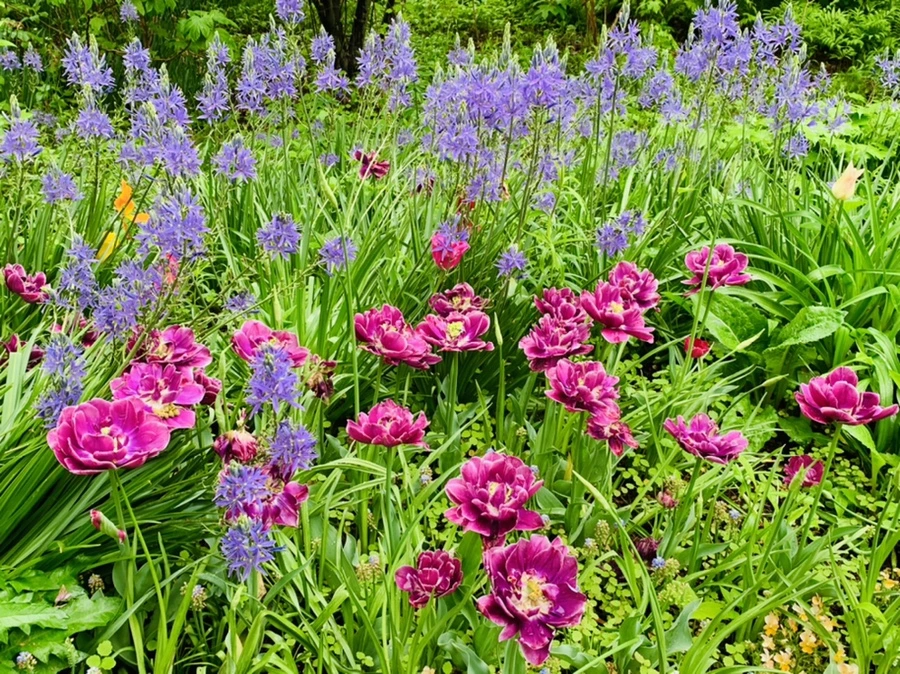 IMG_9790.jpg?type=w966