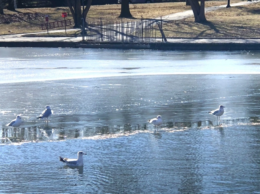 IMG_6805.jpg?type=w966