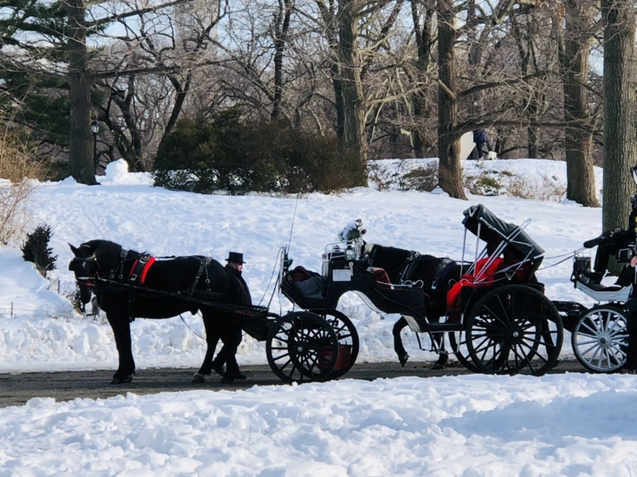 IMG_0801.jpg?type=w966