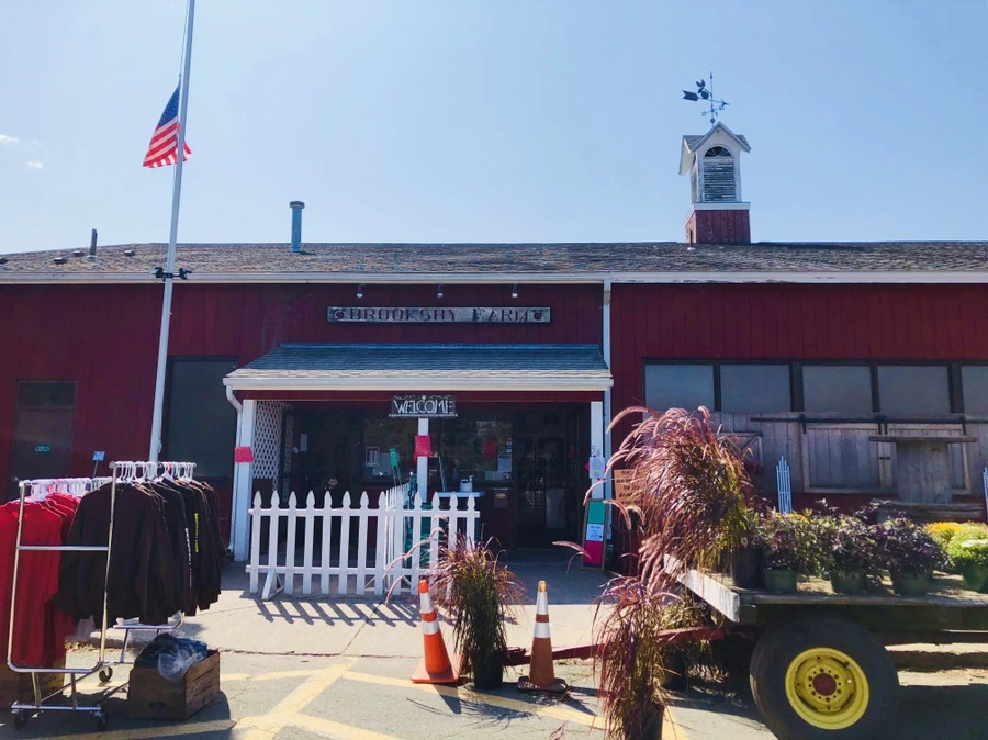 IMG_0761.jpg?type=w966