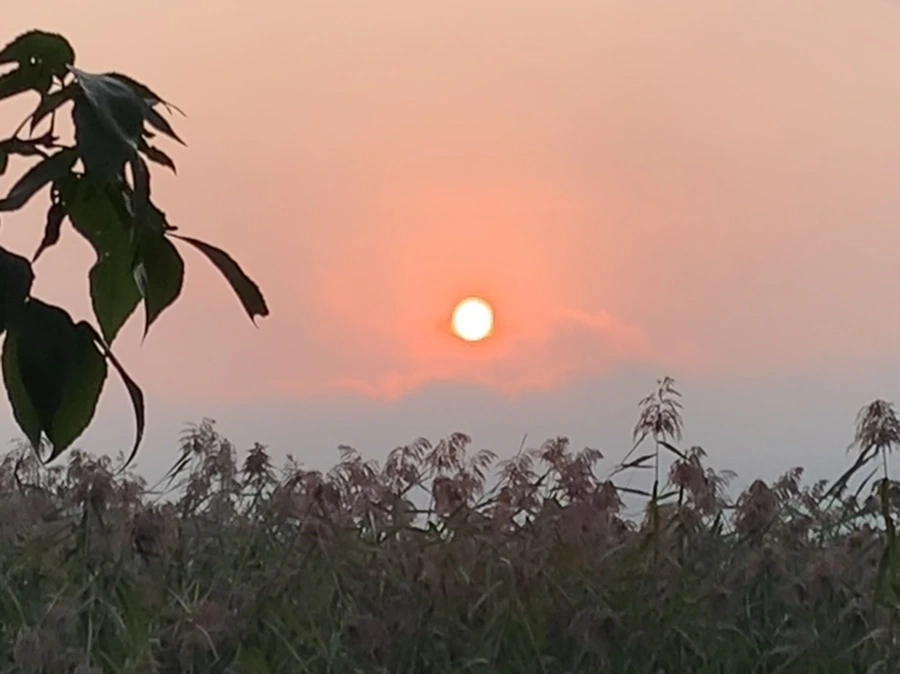 IMG_1141.jpg?type=w966