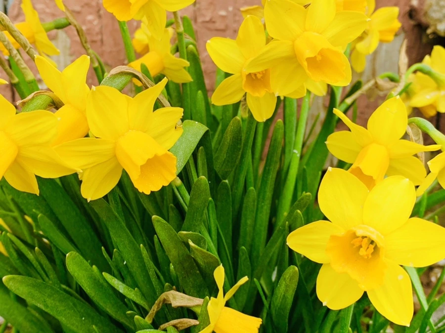 IMG_3205.jpg?type=w966