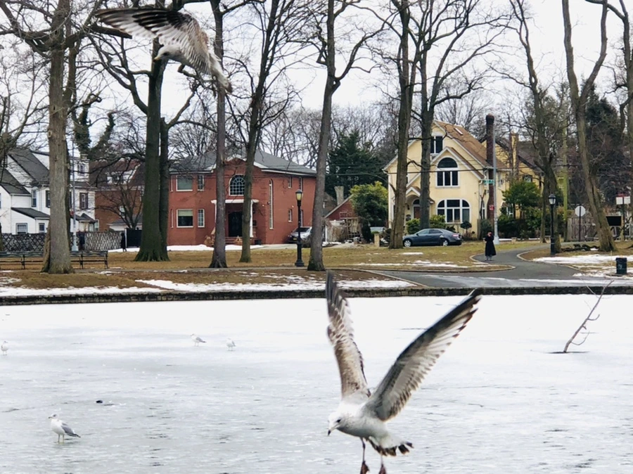 IMG_5864.jpg?type=w966