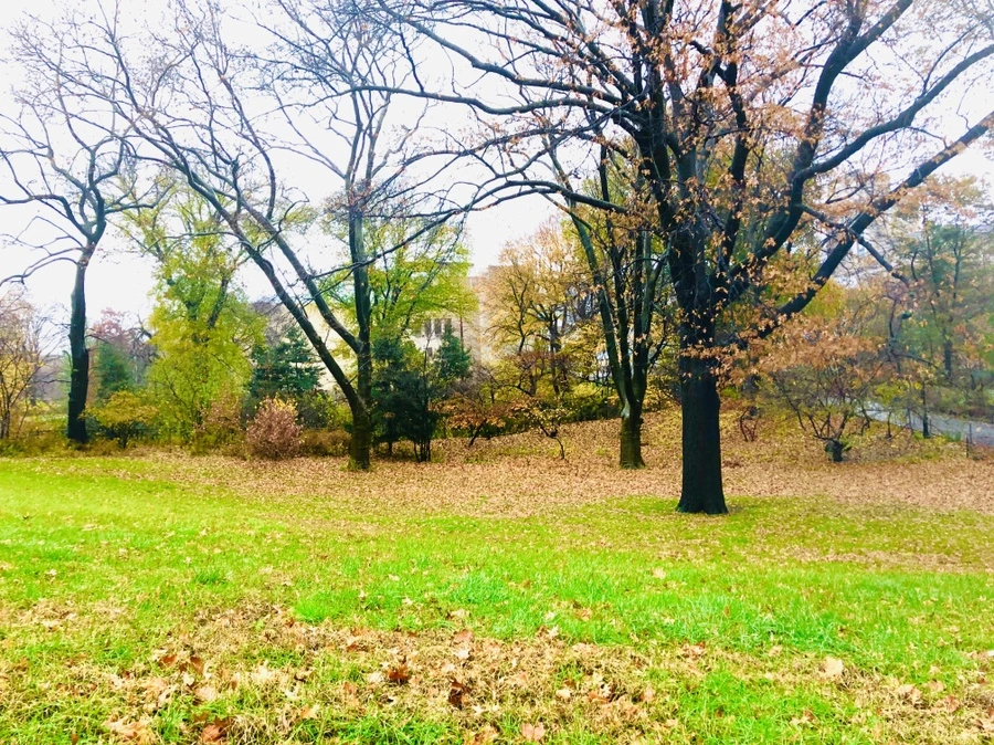 IMG_5739.jpg?type=w966