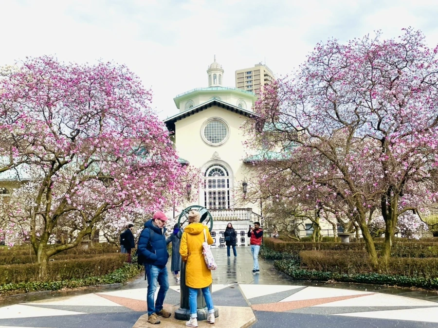 IMG_7429.jpg?type=w966