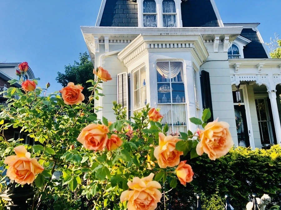 dOgYJbJSYMGJPC7zPUD6LeaX9v4