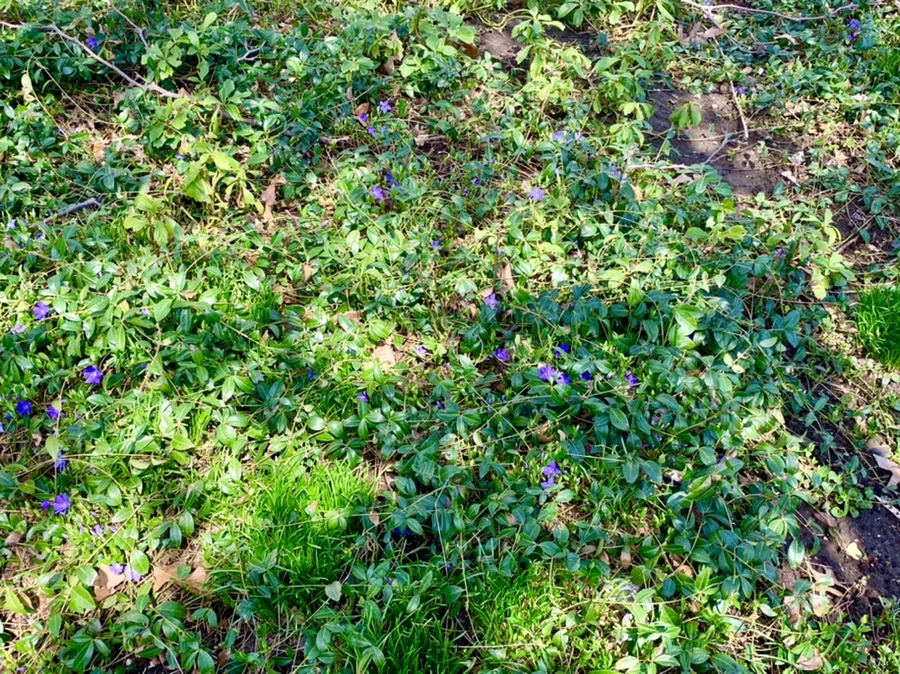 IMG_4312.jpg?type=w966