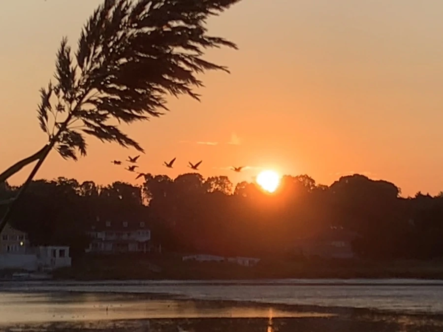 IMG_8878.jpg?type=w966