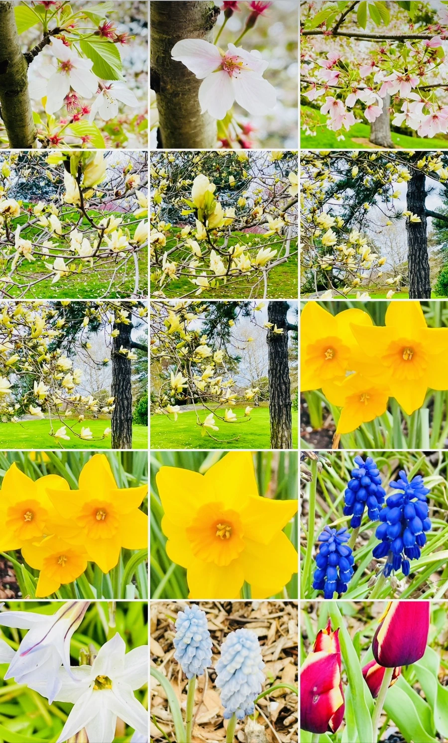 IMG_1428.jpg?type=w966