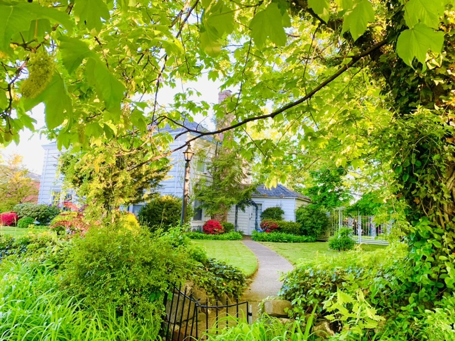 IMG_1904.jpg?type=w966