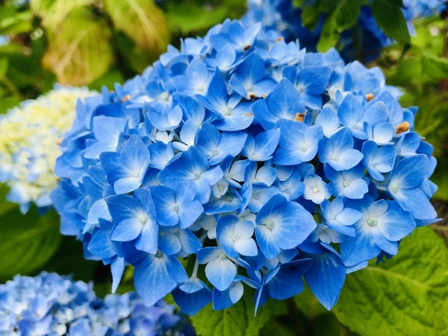 g0zQUnWiZRXGyE14BsJZE0Ucm8s