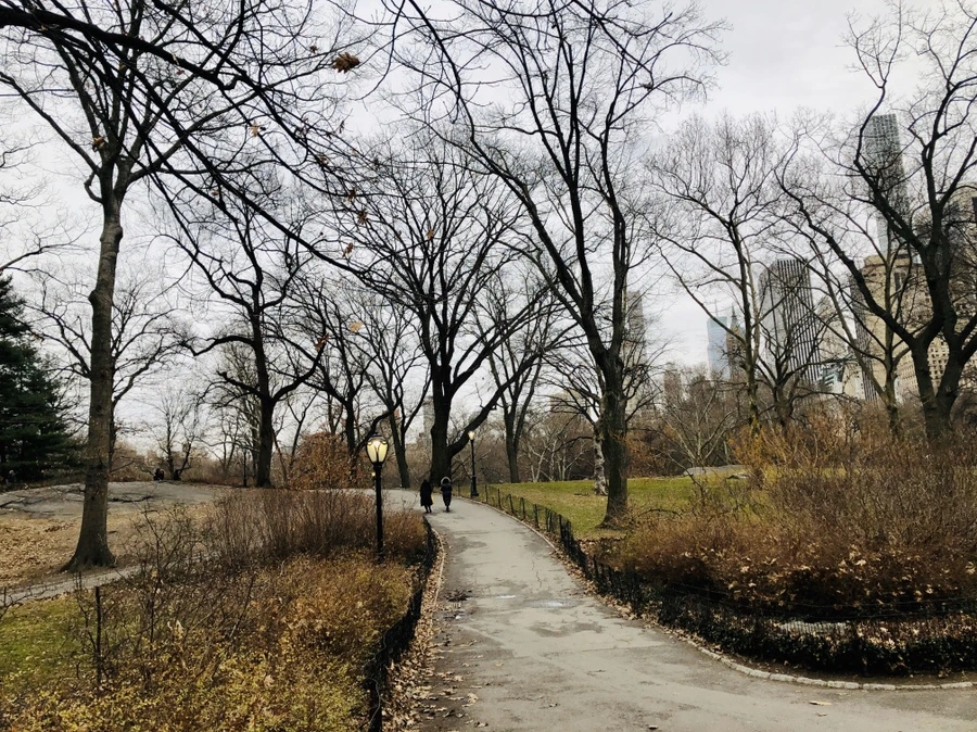 IMG_4463.jpg?type=w966