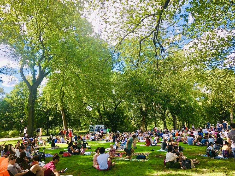 IMG_8399.jpg?type=w966