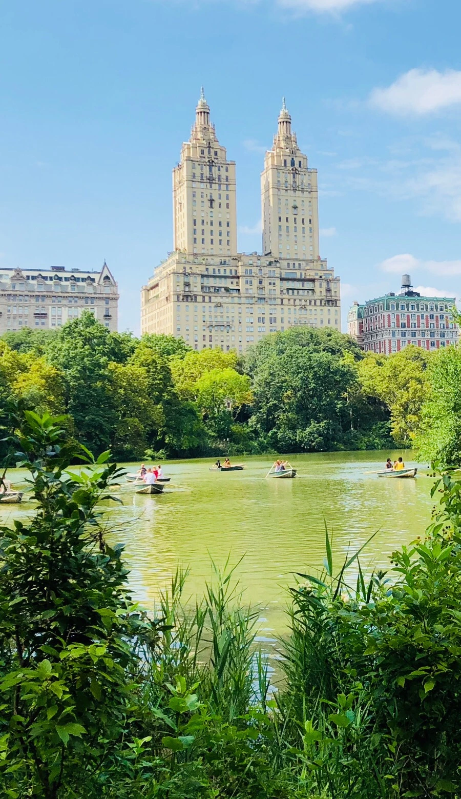 IMG_3731.jpg?type=w966